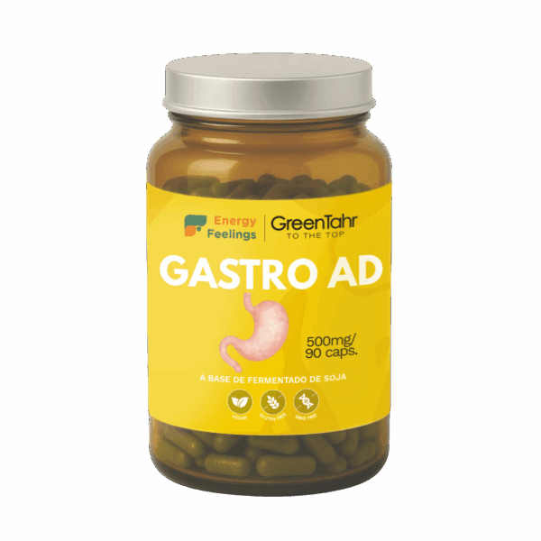 T10510E_GASTRO AD