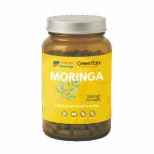T12010E_MORINGA