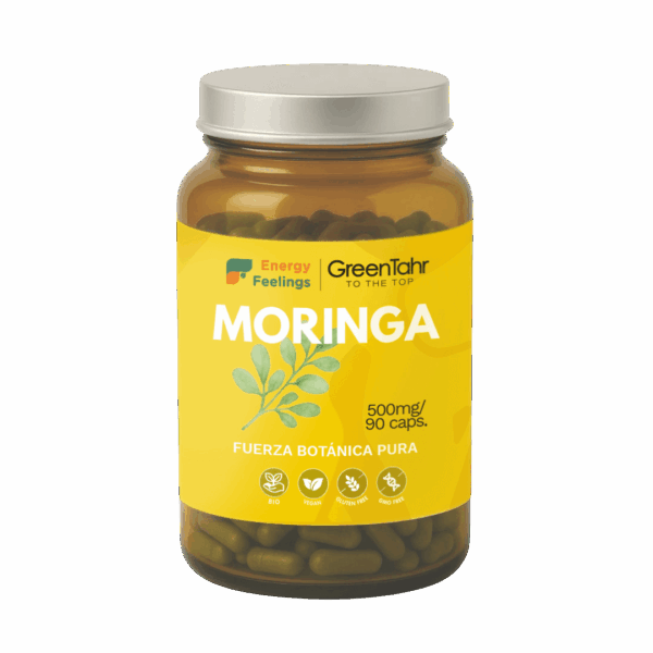T12010E_MORINGA