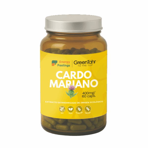 T13010E_CARDO MARIANO